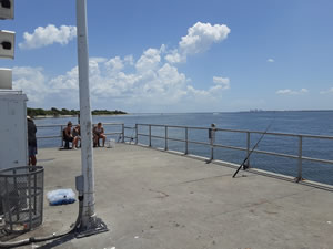 picnic island park pier on old tampa bay